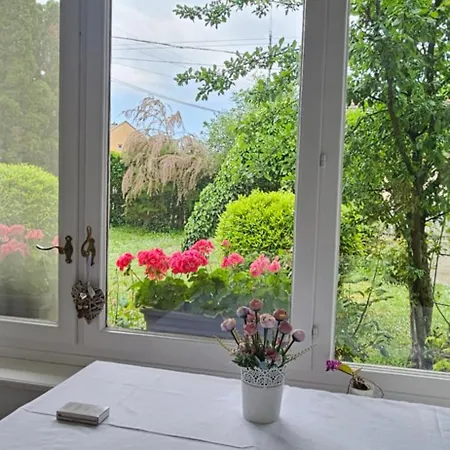 Zsigmond Apartman *