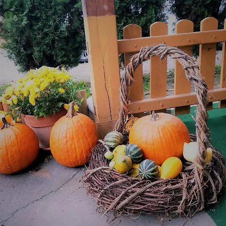 דירה Zsigmond Vendeghaz Villány