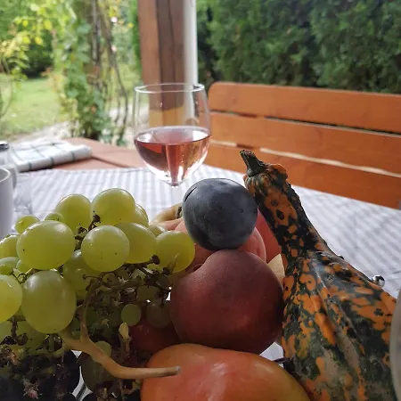 דירה Zsigmond Vendeghaz