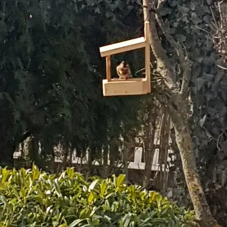 Zsigmond Vendeghaz דירה Villány