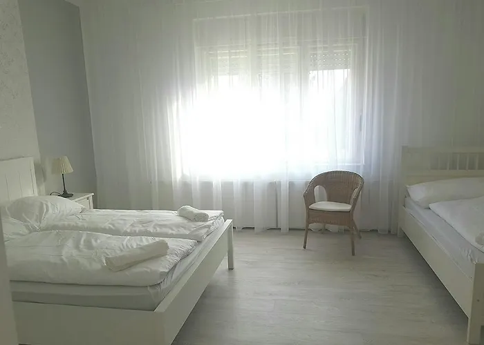 Zsigmond Vendeghaz * Villány