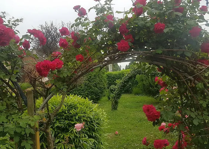 Zsigmond Vendeghaz דירה Villány