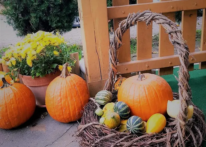 דירה Zsigmond Vendeghaz Villány