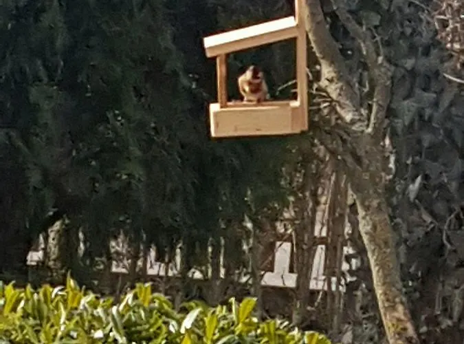 Zsigmond Vendeghaz דירה Villány